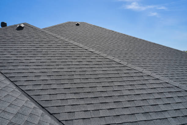 Best Roof Leak Repair  in USA